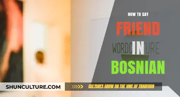 Discover the Bosnian Word for Friend: A Quick Language Guide