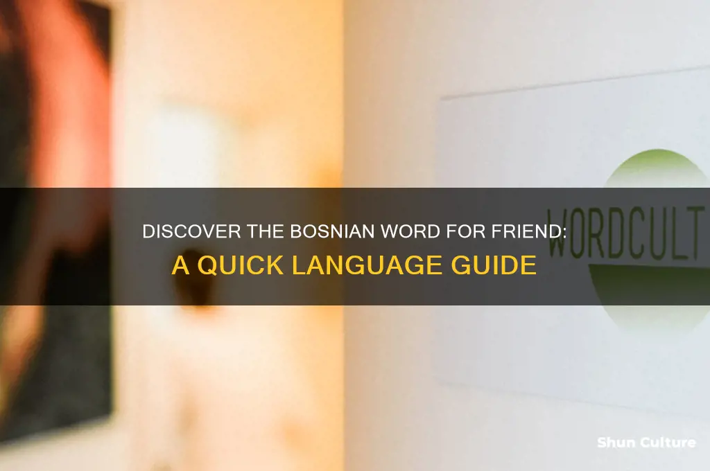 how to say friend in bosnian