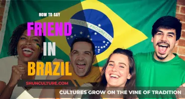 Discover the Brazilian Way to Say Friend: A Cultural Guide