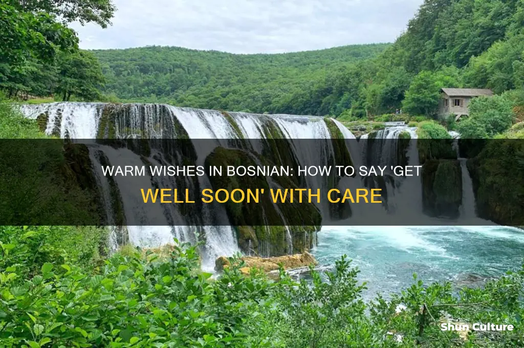 how to say get well soon in bosnian
