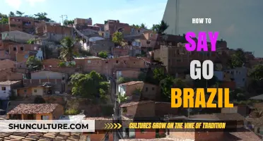 Mastering Portuguese: How to Say 'Go Brazil' Like a Local