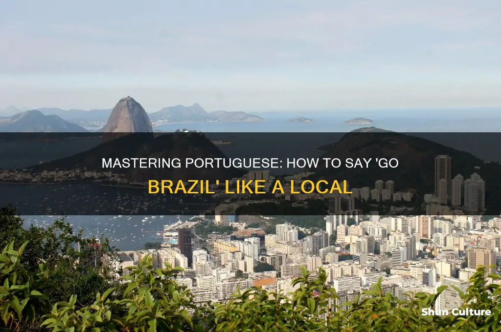 how to say go brazil