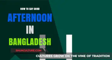 Greeting Guide: Saying Good Afternoon in Bangladesh with Cultural Respect