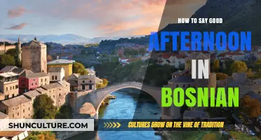 Learn Bosnian Greetings: How to Say Good Afternoon Like a Local