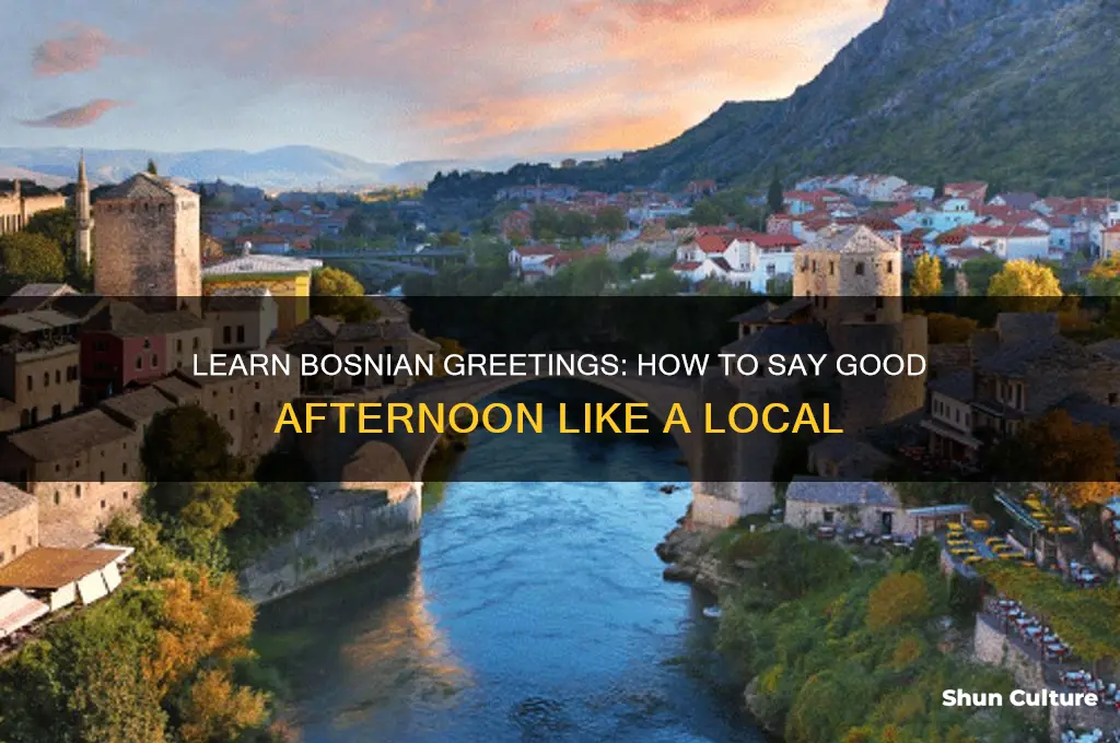 how to say good afternoon in bosnian