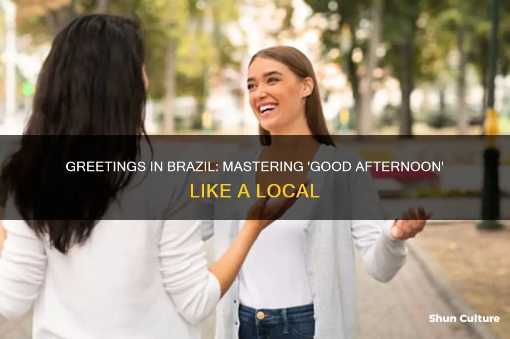 how to say good afternoon in brazil