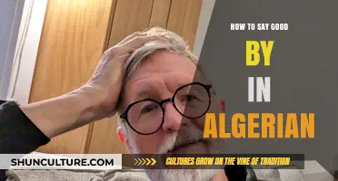 Mastering Algerian Farewells: How to Say Goodbye Like a Local
