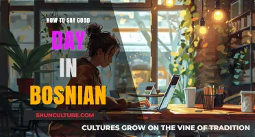 Greetings in Bosnian: Master Saying 'Good Day' Like a Local