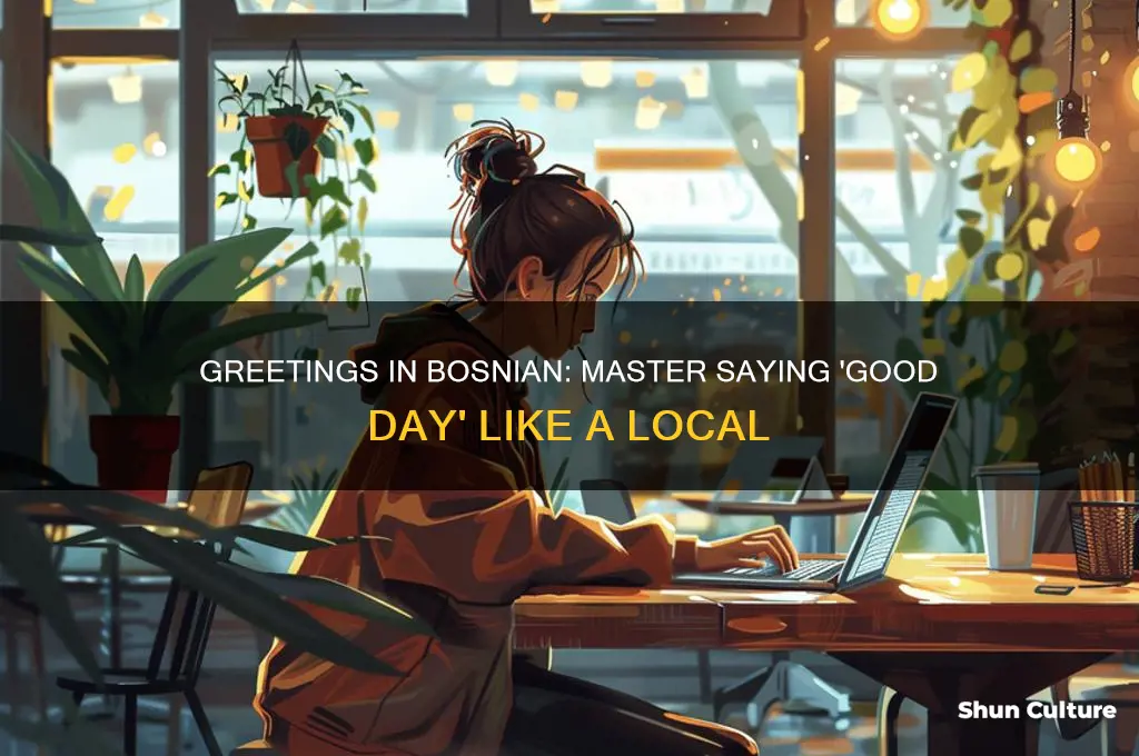 how to say good day in bosnian