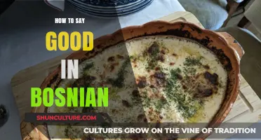 Mastering Bosnian: How to Say 'Good' in Everyday Conversations