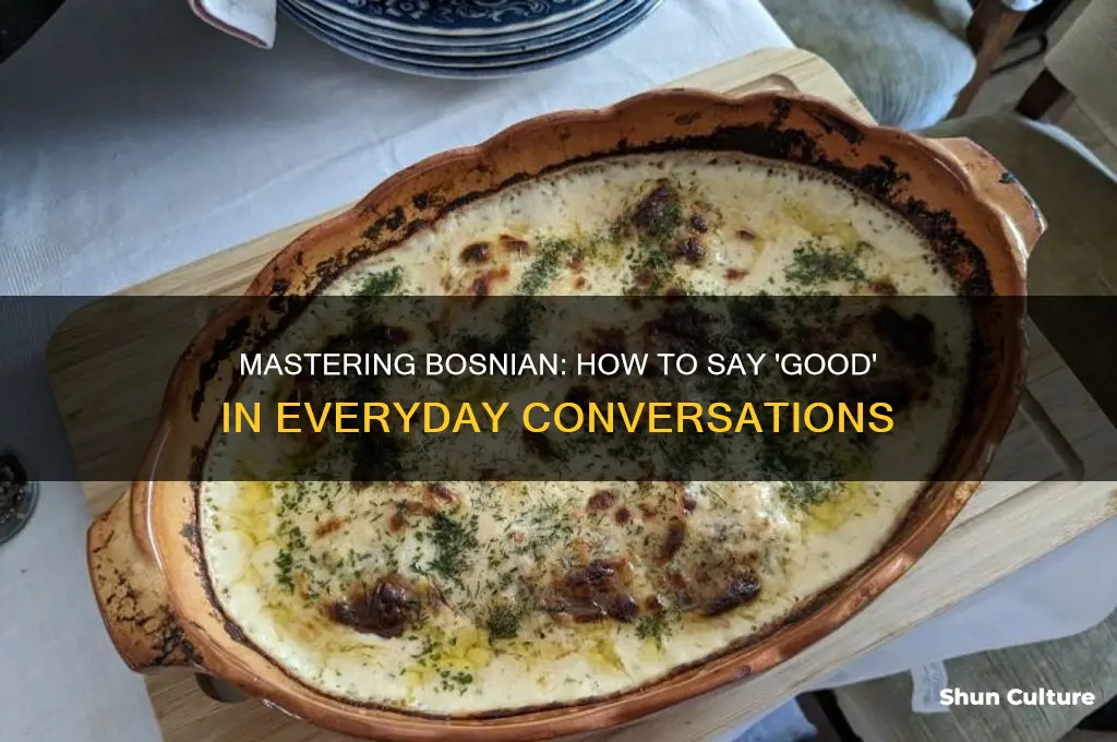 how to say good in bosnian