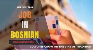 Mastering Bosnian Praise: How to Say 'Good Job' Like a Local