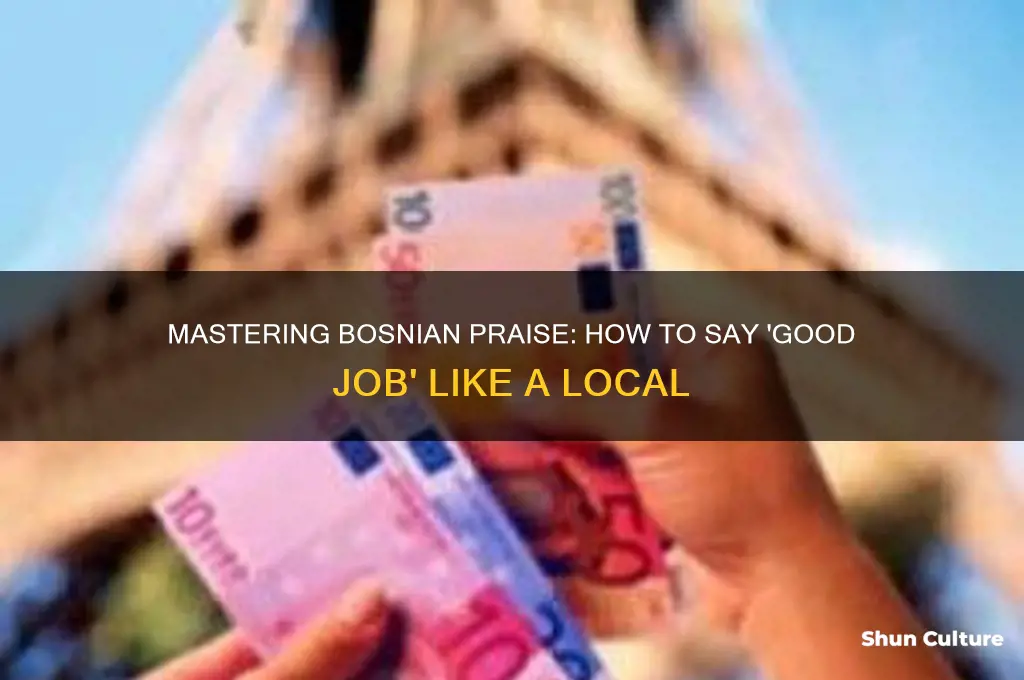 how to say good job in bosnian