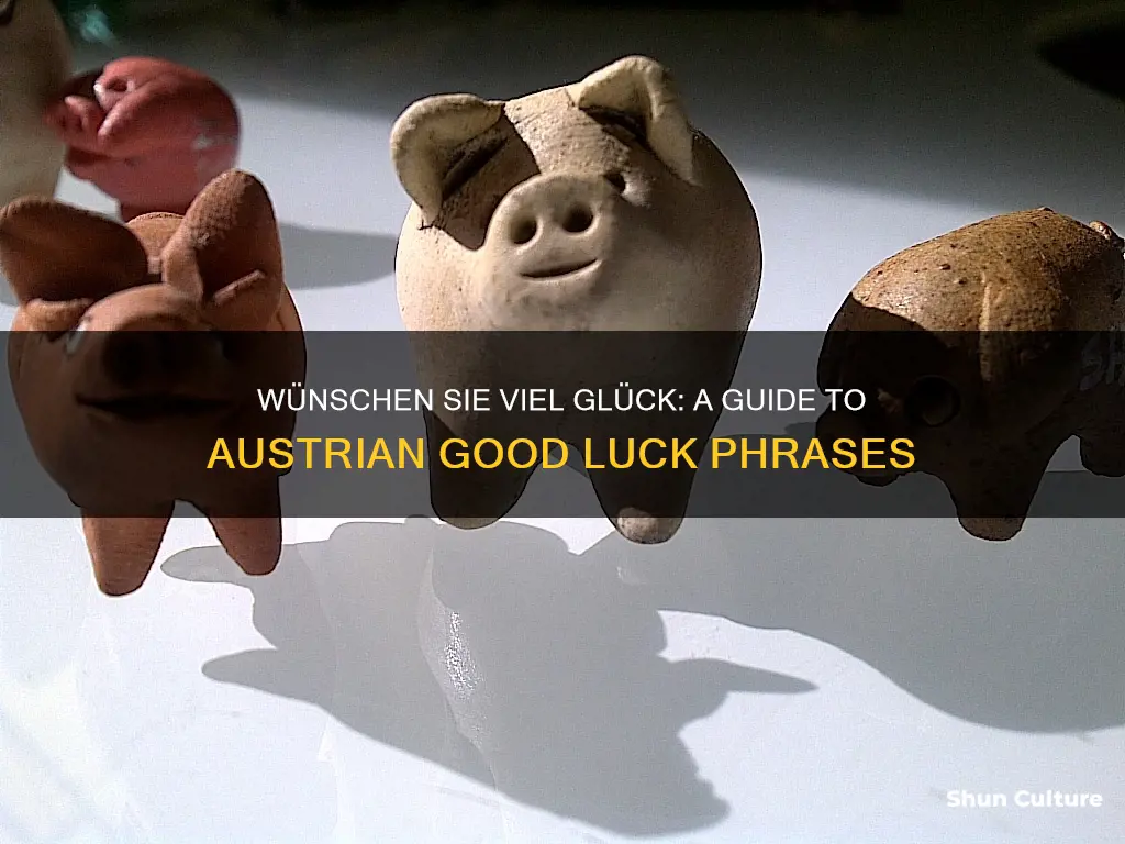 how to say good luck in austrian