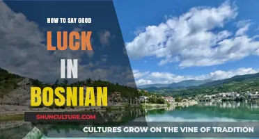 Wishing Good Luck in Bosnian: Essential Phrases and Cultural Insights