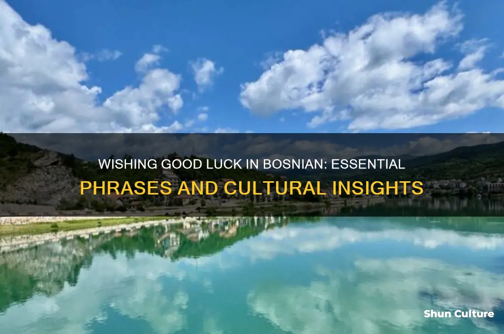 how to say good luck in bosnian