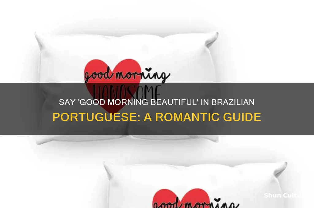 how to say good morning beautiful in brazil
