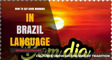 Saying Good Morning in Brazilian Portuguese: A Quick Language Guide