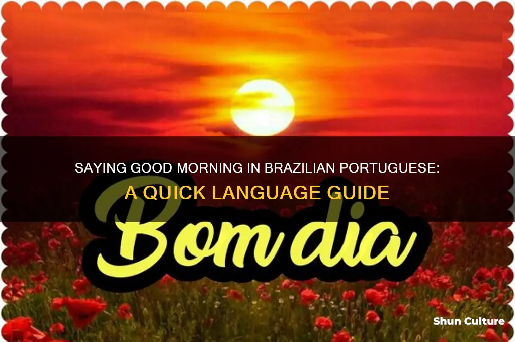 how to say good morning in brazil language