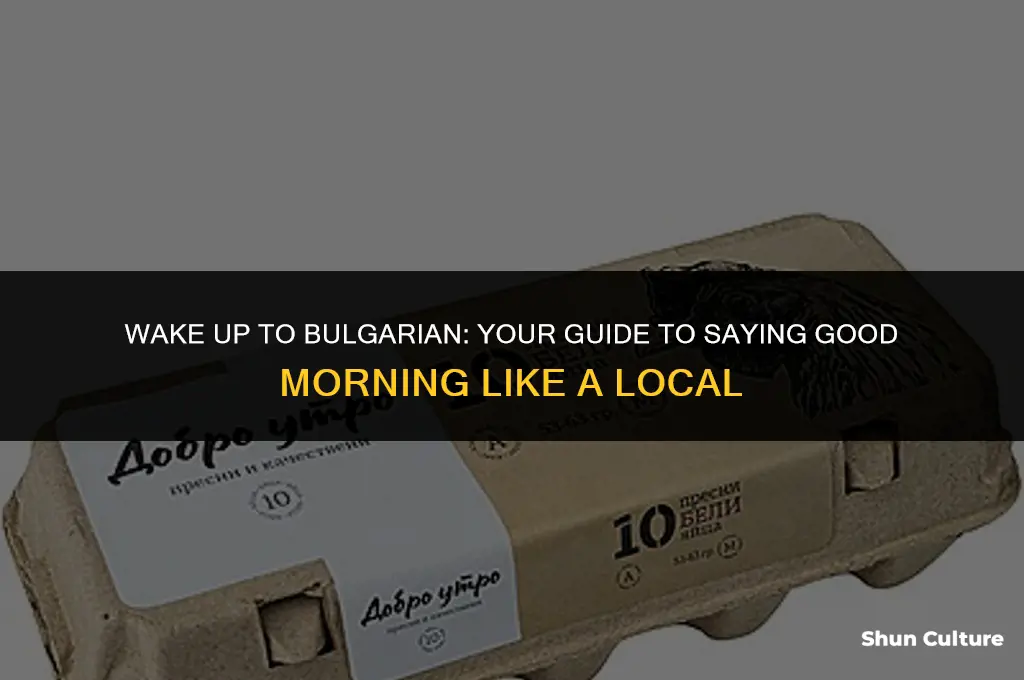 how to say good morning in bulgarian