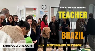 Saying Good Morning to Your Teacher in Brazil: A Quick Guide