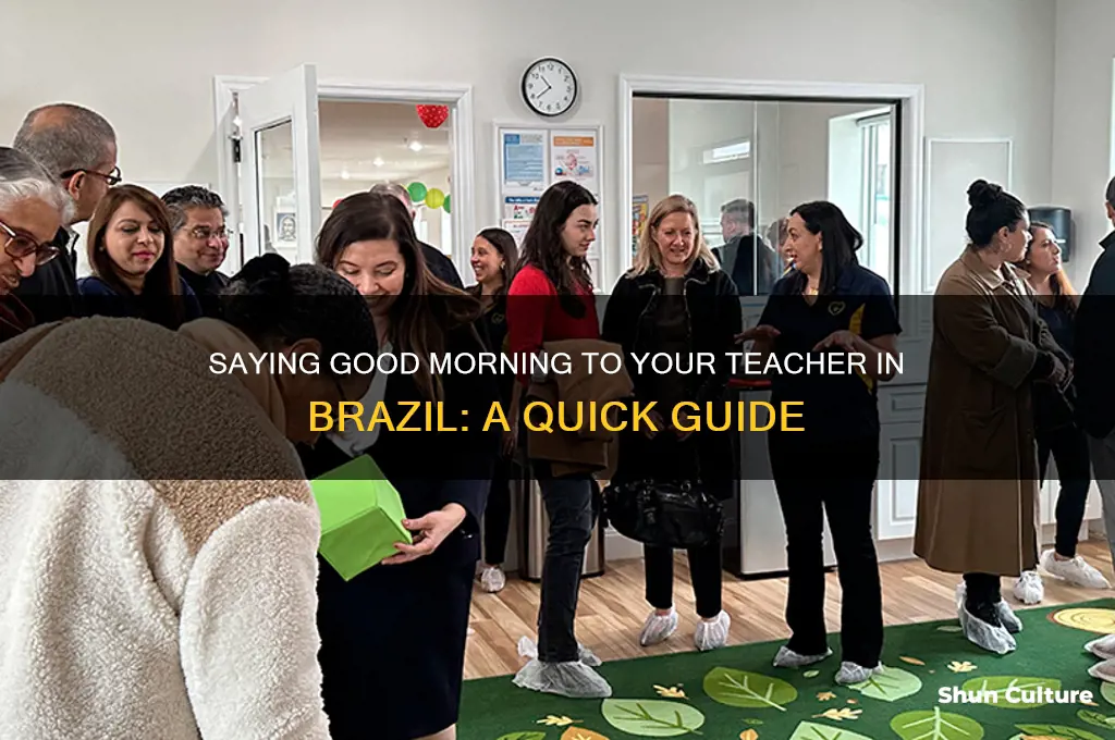 how to say good morning teacher in brazil