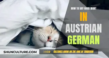 Good Night in Austrian German: A Quick Guide