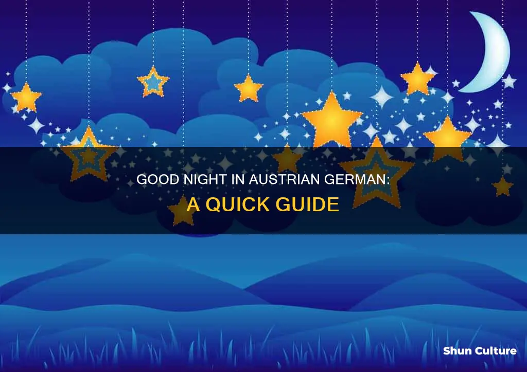 how to say good night in austrian german