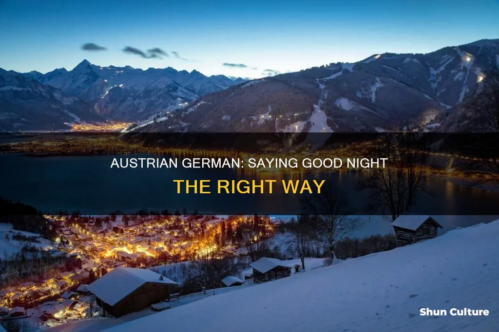how to say good night in austrian german