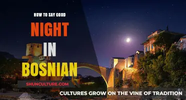 Sweet Dreams in Bosnian: Mastering the Art of Saying Good Night