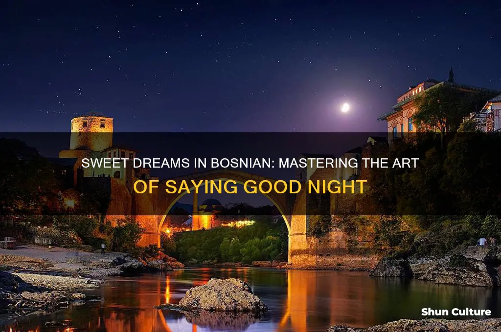 how to say good night in bosnian
