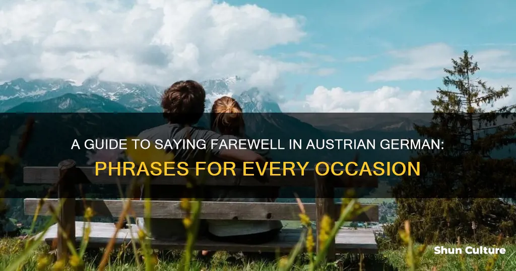 how to say goodbye in austrian german