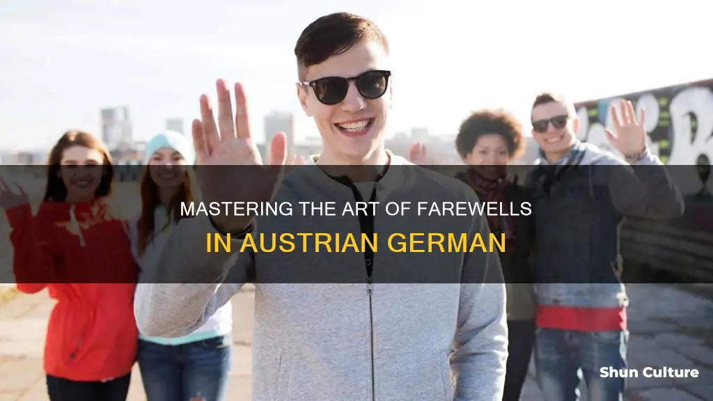 how to say goodbye in austrian german