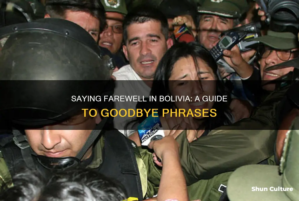 how to say goodbye in bolivia