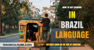 Mastering Farewells: How to Say Goodbye in Brazilian Portuguese