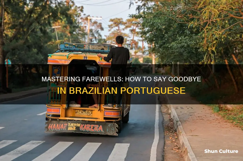 how to say goodbye in brazil language