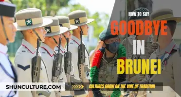 A Heartfelt Farewell: Brunei's Unique Goodbye Customs