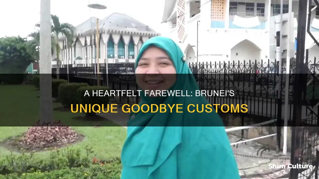 how to say goodbye in brunei