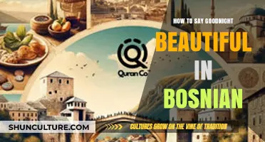 Sweet Dreams in Bosnian: Saying 'Goodnight Beautiful' with Ease