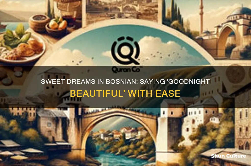 how to say goodnight beautiful in bosnian