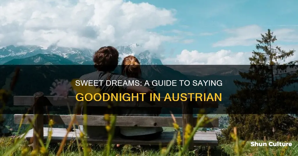 how to say goodnight in austrian