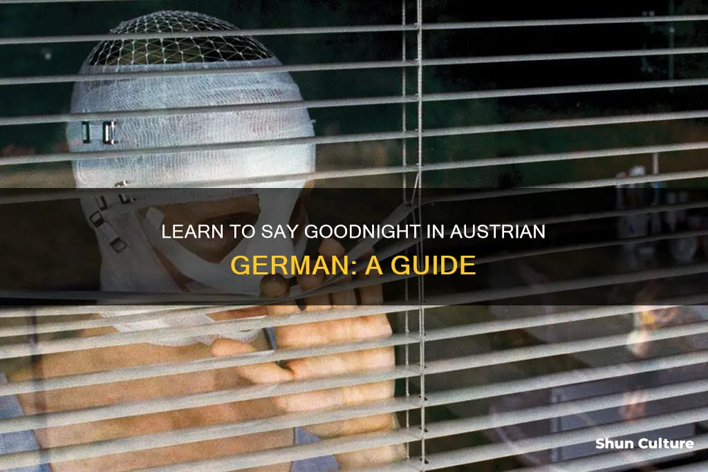 how to say goodnight in austrian