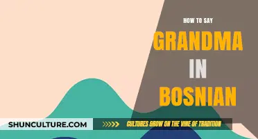 Warm Bosnian Words: How to Say Grandma in Bosnian Language