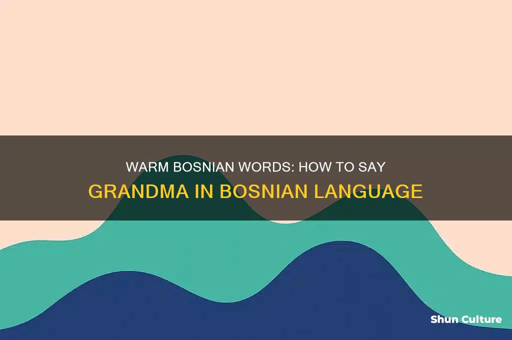 how to say grandma in bosnian