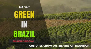 Discovering 'Green' in Brazil: A Guide to Saying It Right