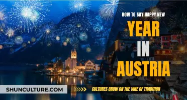 Ring in the New Year: Austrian Greetings and Traditions