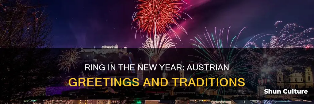 how to say happy new year in austria