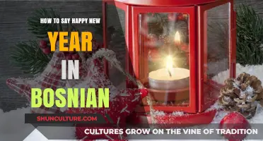 Celebrate Bosnian Style: Learn to Say Happy New Year in Bosnian
