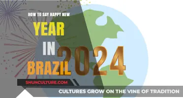 Celebrate in Portuguese: Saying Happy New Year in Brazil