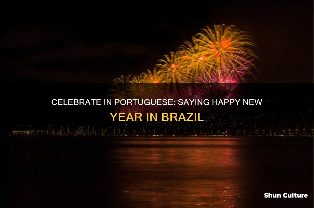 how to say happy new year in brazil